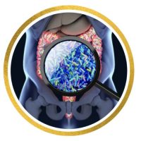 Microbiota